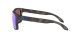 Oakley napszemüveg OO 9102 G7