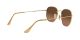 Ray-Ban Hexagonal RB 3548N 9124/43 Férfi, Női napszemüveg