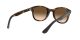 Ray-Ban napszemüveg RB 4203 710/13